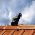 Figurka kota - Braas Figurka kota - Braas