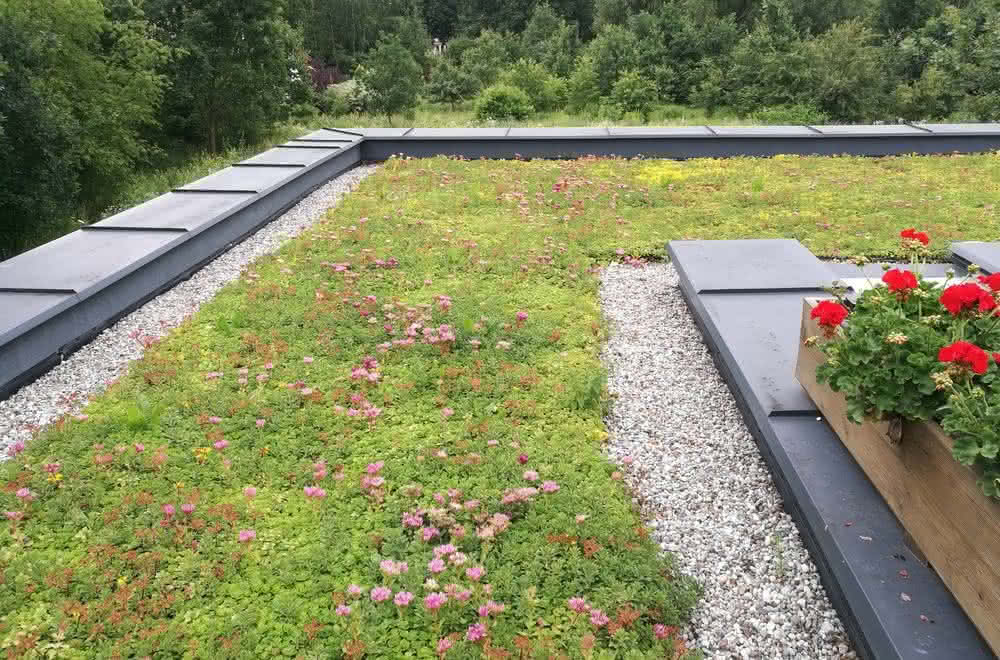 Przykład dachu odwróconego pokrytego roślinnością. Przykład dachu odwróconego pokrytego roślinnością.